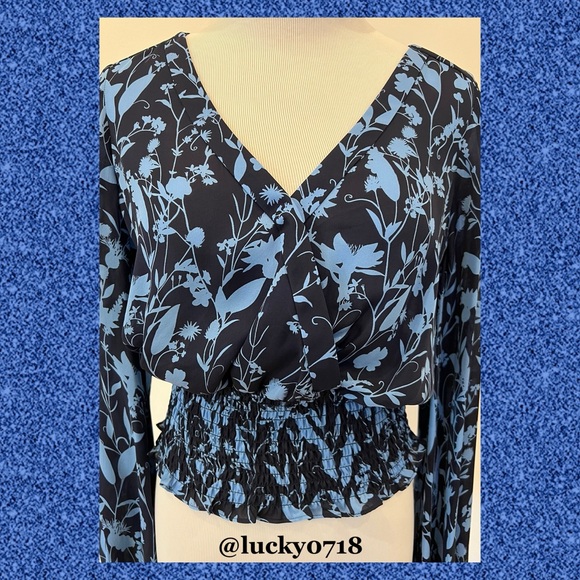 Parker EUC Blue on Navy Kata Long Sleeve Silk Blouse Sz S - Picture 3 of 9